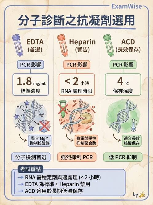 醫檢師 - 基礎分子生物學 - AI 圖文解析預覽