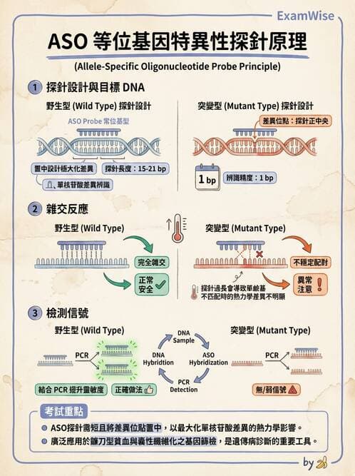 醫檢師 - 雜交探針與晶片技術 - AI 圖文解析預覽