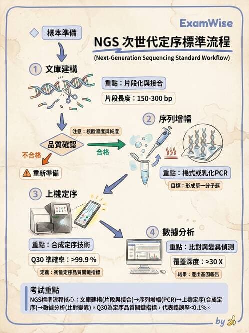 醫檢師 - 定序電泳與表觀分析 - AI 圖文解析預覽