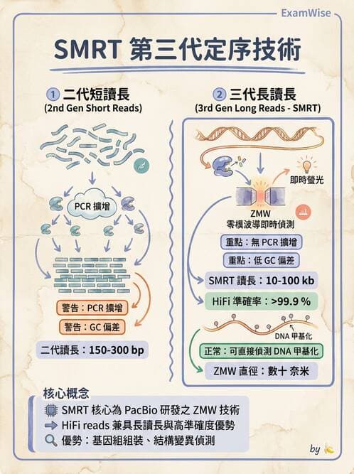 醫檢師 - 定序電泳與表觀分析 - AI 圖文解析預覽