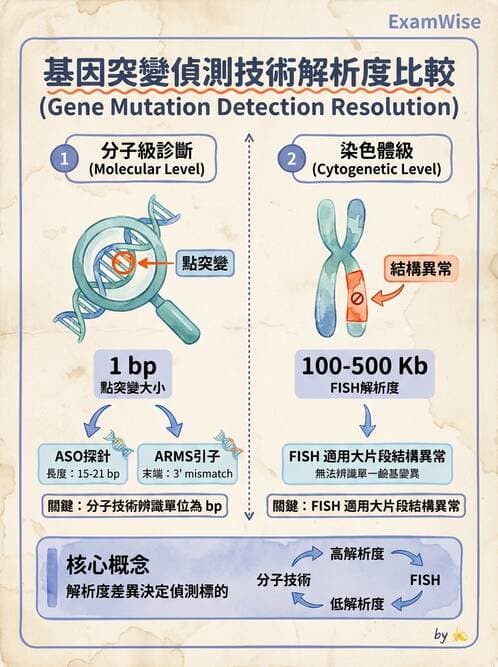 醫檢師 - 雜交探針與晶片技術 - AI 圖文解析預覽
