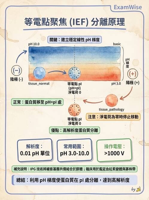醫檢師 - 分子鑑定與應用技術 - AI 圖文解析預覽