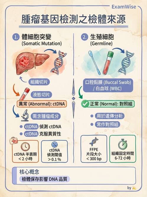 醫檢師 - 核酸擴增與萃取技術 - AI 圖文解析預覽