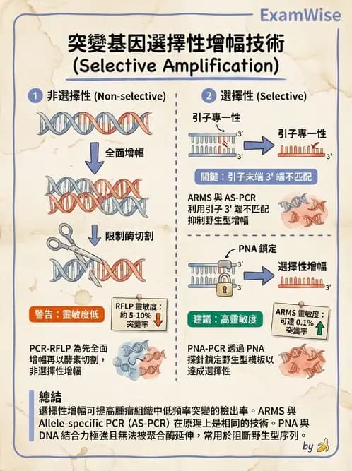 醫檢師 - 核酸擴增與萃取技術 - AI 圖文解析預覽