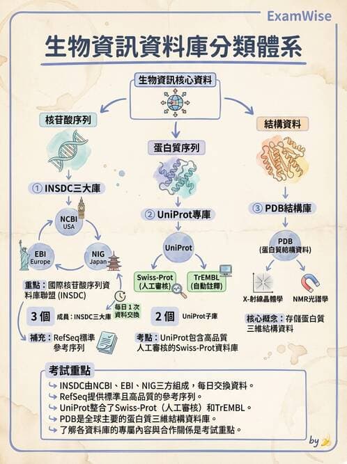 醫檢師 - 基礎分子生物學 - AI 圖文解析預覽