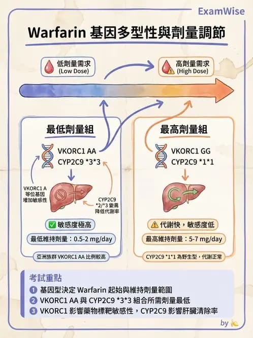 醫檢師 - 藥物相關基因檢測 - AI 圖文解析預覽