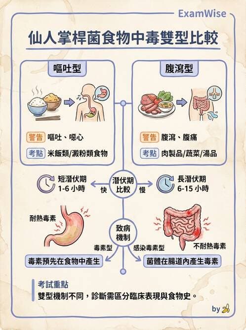 醫檢師 - 鏈球菌與其他革蘭氏陽性桿菌 - AI 圖文解析預覽