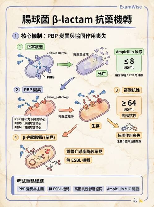 醫檢師 - 抗藥性機制 - AI 圖文解析預覽