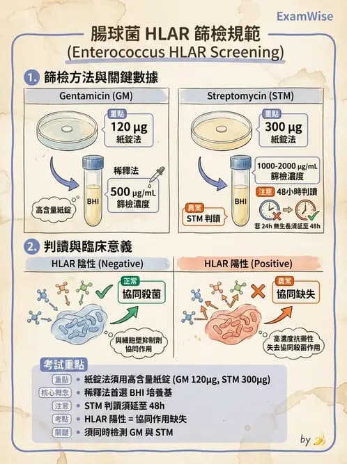 醫檢師 - 藥敏試驗方法 - AI 圖文解析預覽