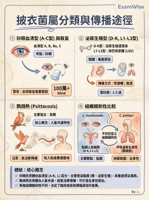 醫檢師 - 特殊病原體 - AI 圖文解析預覽