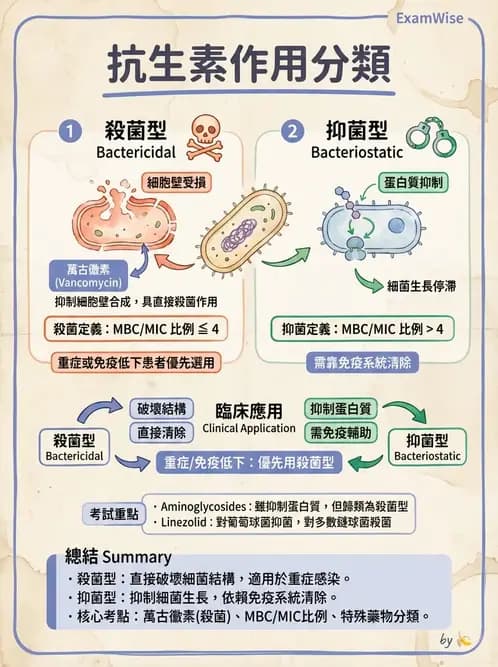 醫檢師 - 抗微生物製劑 - AI 圖文解析預覽