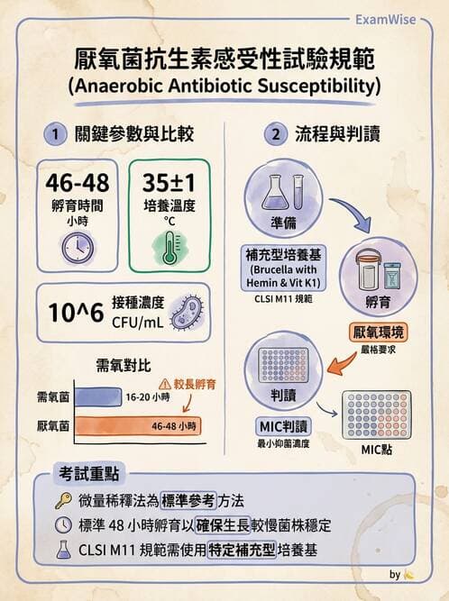 醫檢師 - 藥敏試驗方法 - AI 圖文解析預覽
