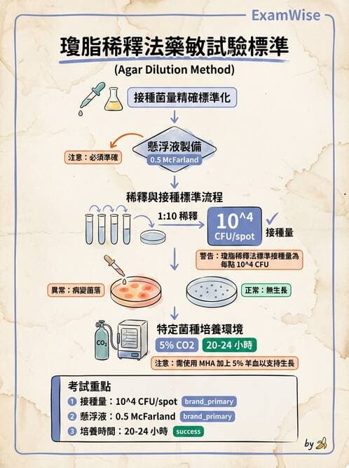 醫檢師 - 藥敏試驗方法 - AI 圖文解析預覽