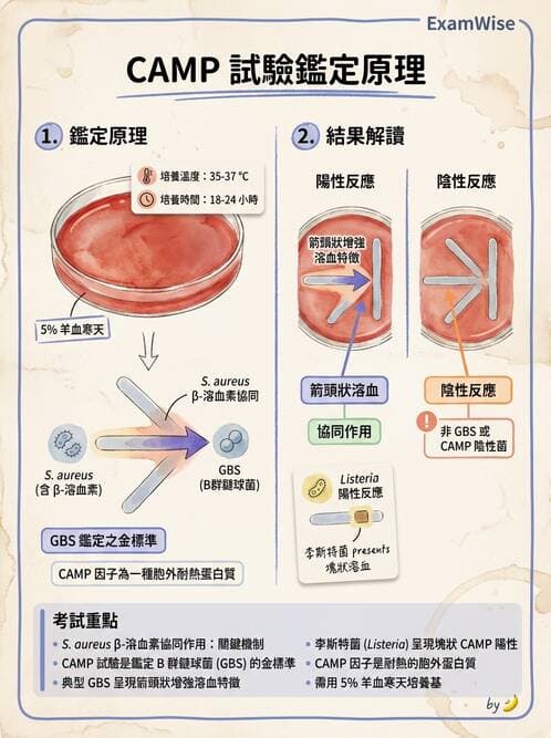 醫檢師 - 檢驗基礎技術 - AI 圖文解析預覽