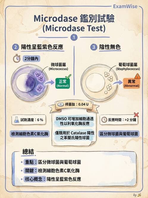 醫檢師 - 檢驗基礎技術 - AI 圖文解析預覽