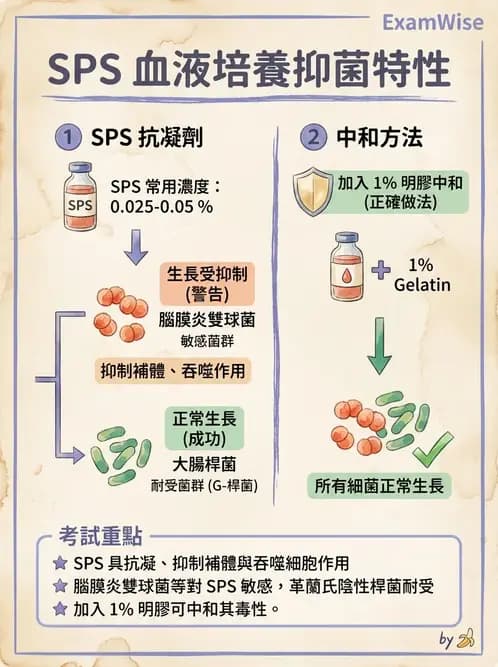 醫檢師 - 檢驗基礎技術 - AI 圖文解析預覽