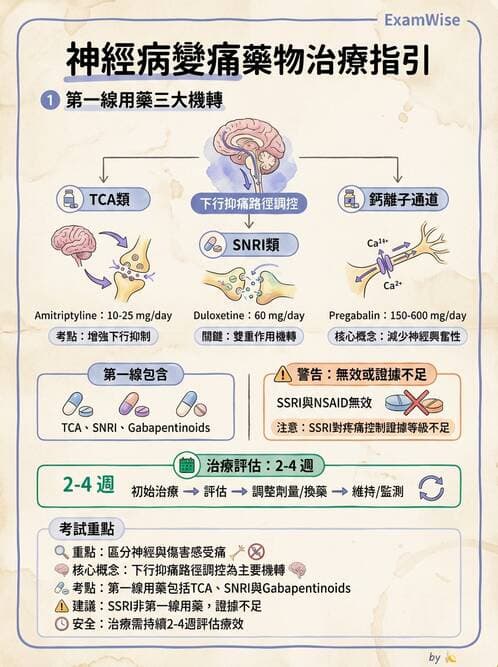 專師 - 糖尿病併發症與照護 - AI 圖文解析預覽