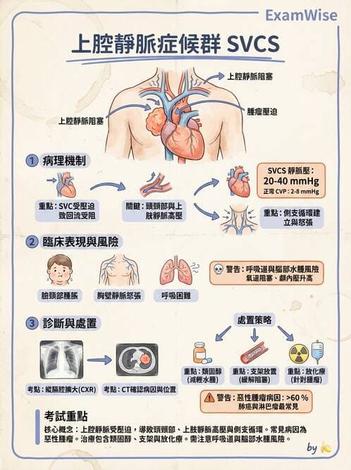 專師 - 腫瘤急症 - AI 圖文解析預覽