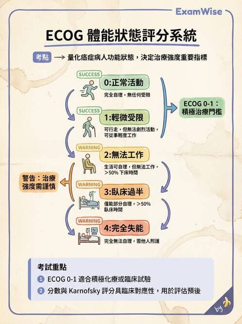 專師 - 腫瘤診斷與分期 - AI 圖文解析預覽