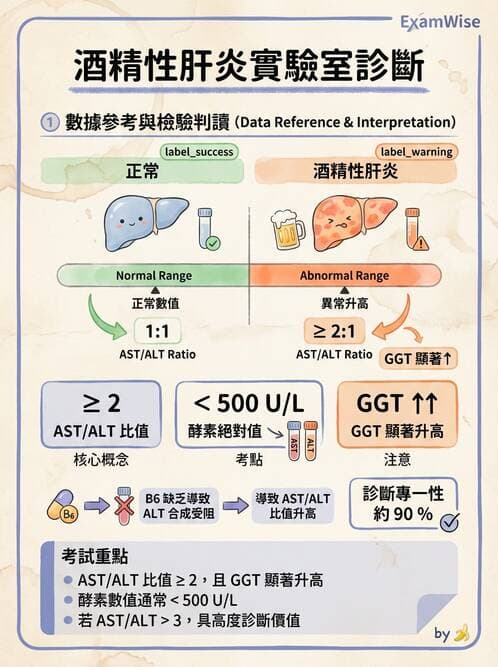 專師 - 肝炎與肝功能 - AI 圖文解析預覽