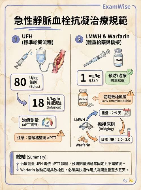 專師 - 周邊血管與靜脈疾病 - AI 圖文解析預覽