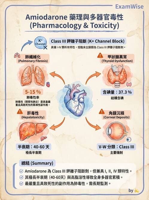 專師 - 心律不整與ECG判讀 - AI 圖文解析預覽