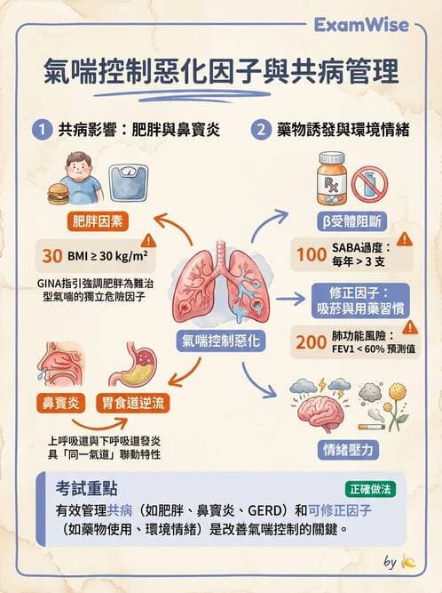 專師 - 阻塞性肺病 - AI 圖文解析預覽
