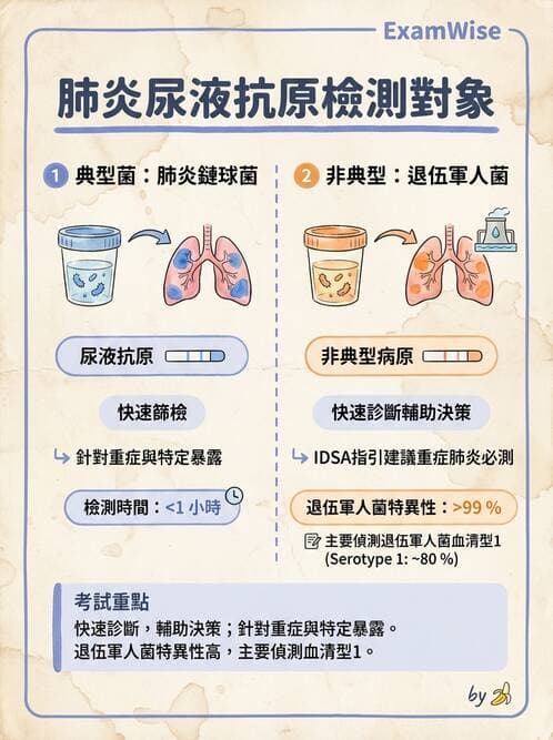 專師 - 肺炎與肺部感染 - AI 圖文解析預覽