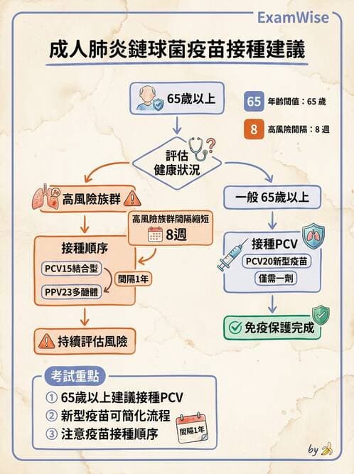 專師 - 阻塞性肺病 - AI 圖文解析預覽