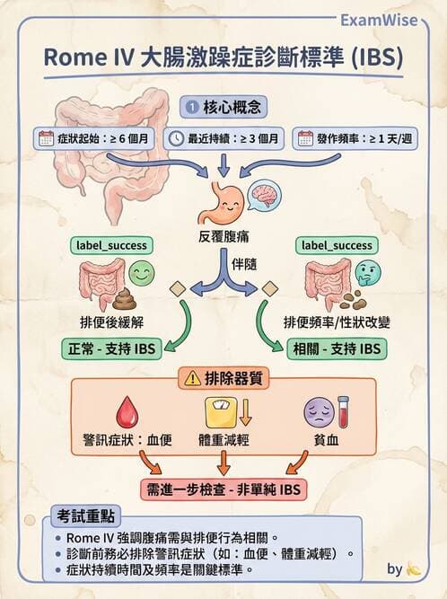 專師 - 腸道疾病與肛門直腸 - AI 圖文解析預覽