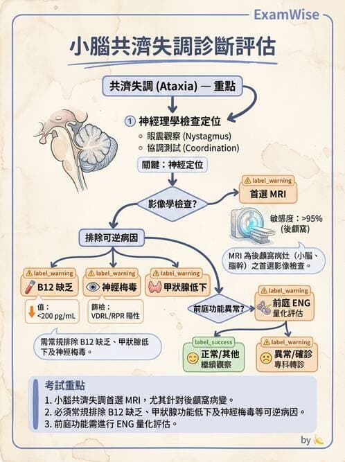 專師 - 腦神經檢查與神經學評估 - AI 圖文解析預覽