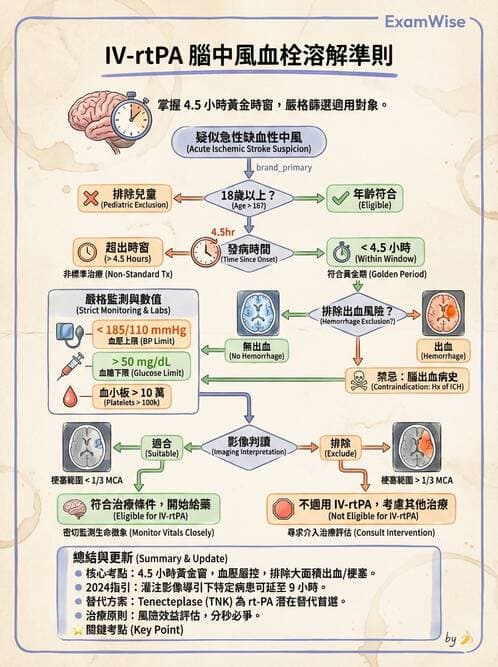 專師 - 腦血管疾病 - AI 圖文解析預覽