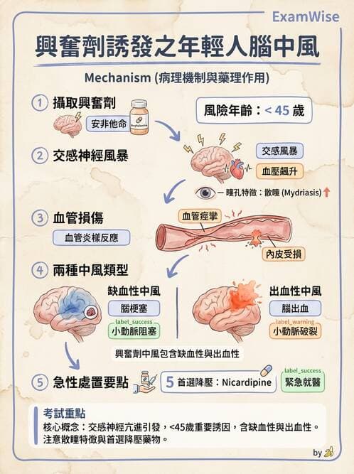 專師 - 腦血管疾病 - AI 圖文解析預覽