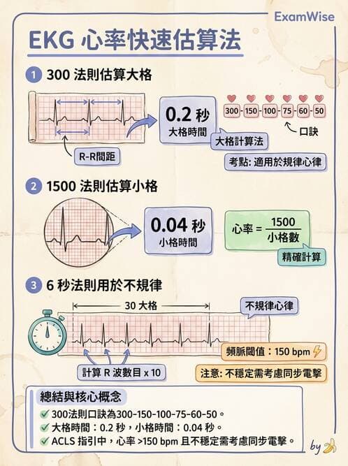 專師 - 心律不整與ECG判讀 - AI 圖文解析預覽
