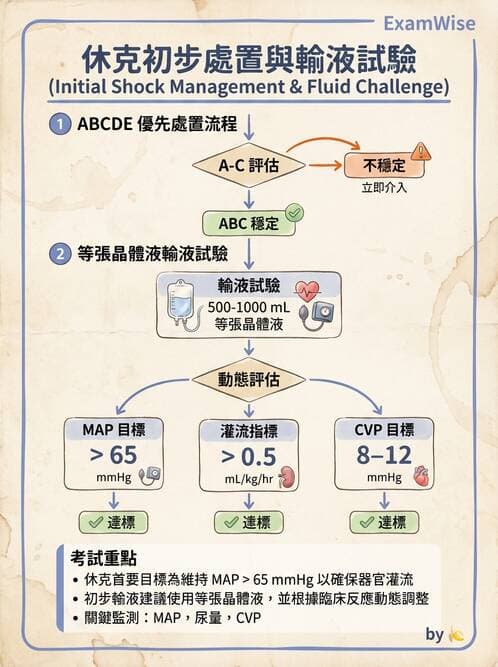 專師 - 休克分類與血行動力學 - AI 圖文解析預覽
