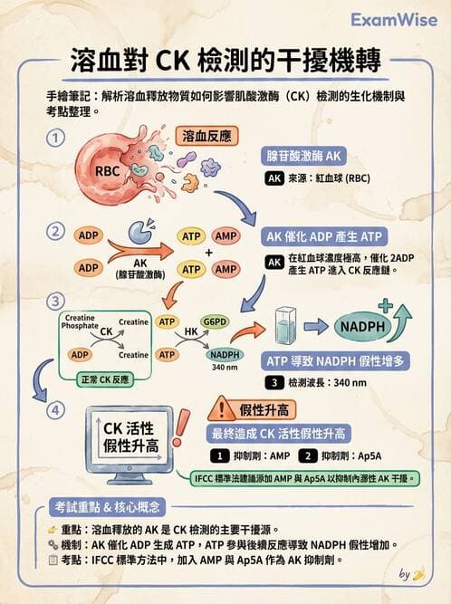 醫檢師 - 臨床酵素學基礎 - AI 圖文解析預覽