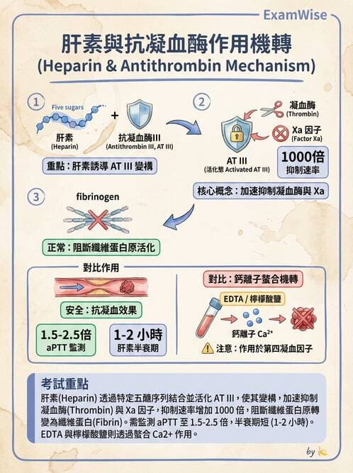 醫檢師 - 基本概念與儀器分析 - AI 圖文解析預覽