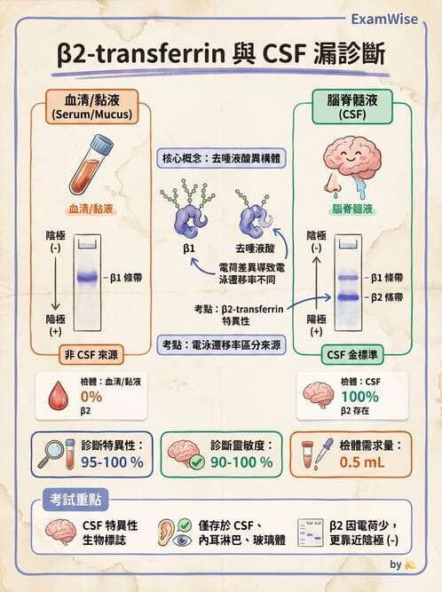 醫檢師 - 血清蛋白與蛋白質檢測 - AI 圖文解析預覽