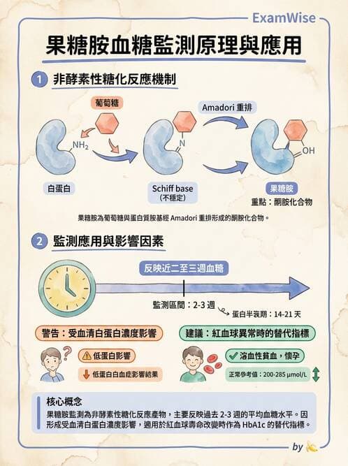 醫檢師 - 醣類代謝與糖尿病 - AI 圖文解析預覽
