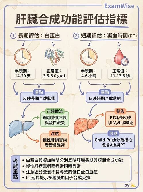 醫檢師 - 肝臟機能與胰臟酵素 - AI 圖文解析預覽