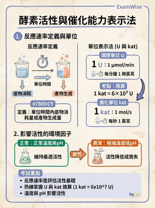 醫檢師 - 臨床酵素學基礎 - AI 圖文解析預覽