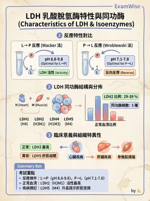 醫檢師 - 臨床酵素學基礎 - AI 圖文解析預覽