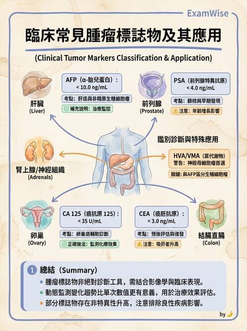 醫檢師 - 腫瘤標誌 - AI 圖文解析預覽