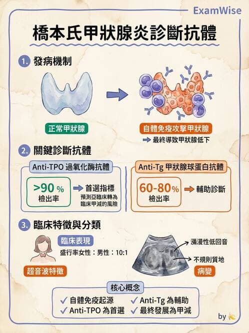 醫檢師 - 甲狀腺與垂體內分泌 - AI 圖文解析預覽