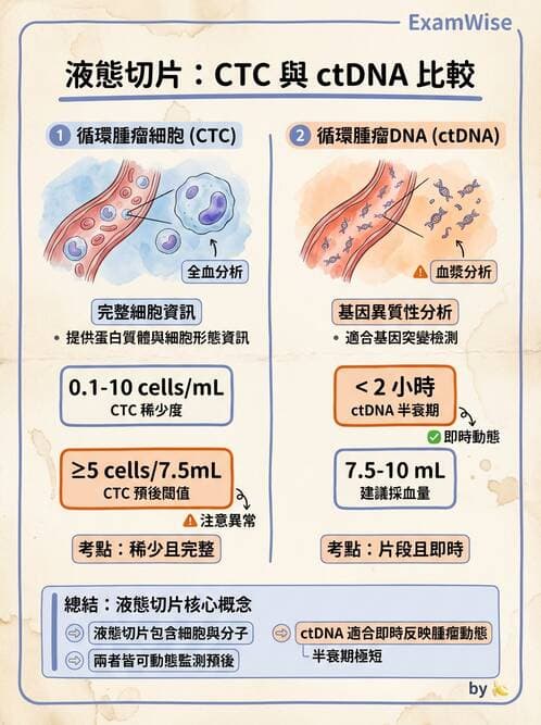 醫檢師 - 腫瘤標誌 - AI 圖文解析預覽