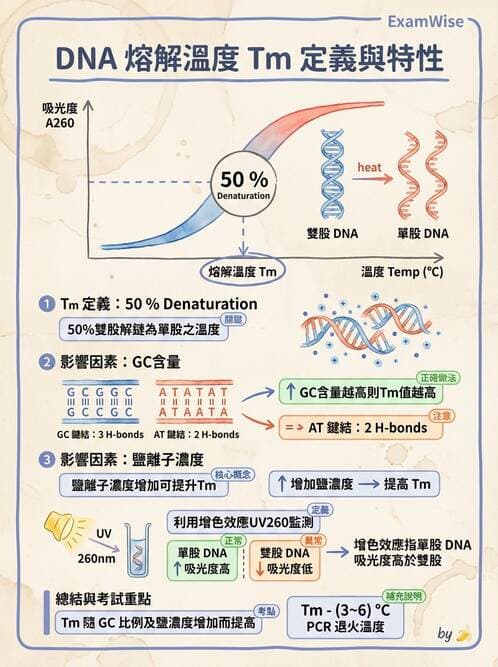 醫檢師 - 基本概念與儀器分析 - AI 圖文解析預覽