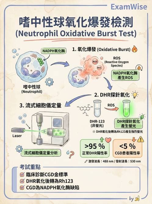 醫檢師 - 實驗室測試免疫法 - AI 圖文解析預覽
