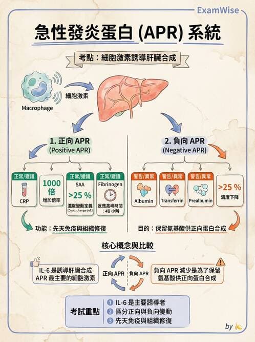 醫檢師 - 急性發炎蛋白與微生物感染血清學 - AI 圖文解析預覽