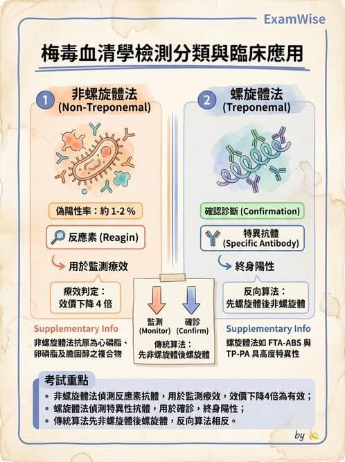 醫檢師 - 急性發炎蛋白與微生物感染血清學 - AI 圖文解析預覽