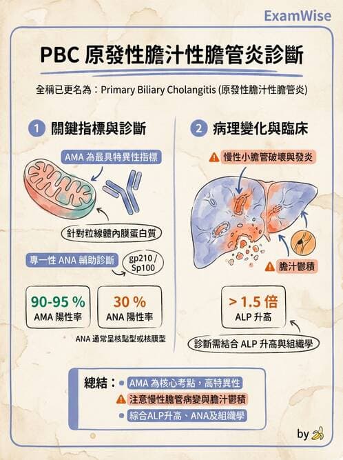 醫檢師 - 其他自體免疫疾病與自體抗體檢驗 - AI 圖文解析預覽
